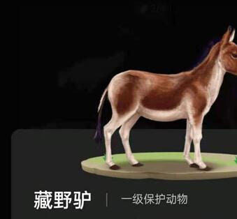 螞蟻森林巡護(hù)動物有什么用?支付寶螞蟻森林巡護(hù)動物怎么召回