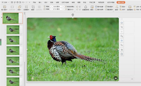 PPT中如何修改母版背景圖片?