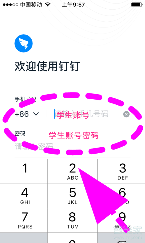 釘釘如何領取學生號