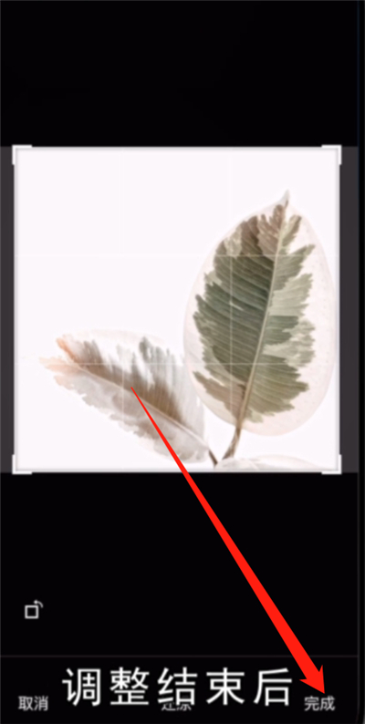 微信封面圖片怎么設置