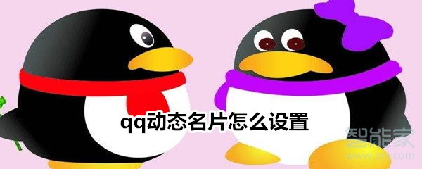 qq動態名片怎么設置