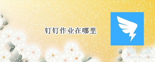 釘釘作業(yè)在哪里