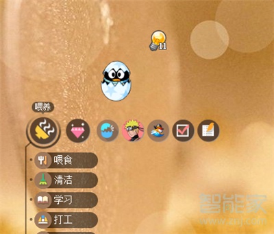 qq萌寵在哪里打開