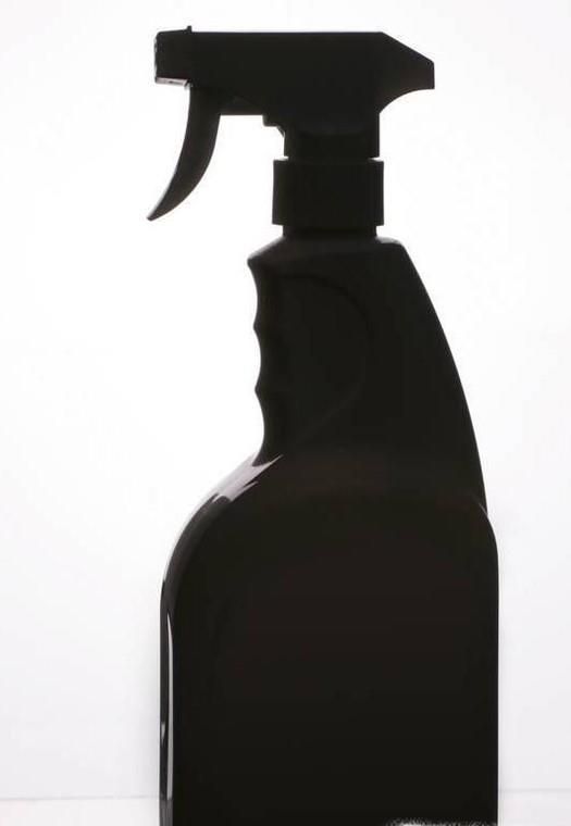 豆瓣綠的養殖方法和注意事項