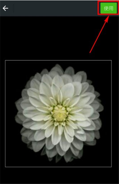 微信頭像可以換幾次