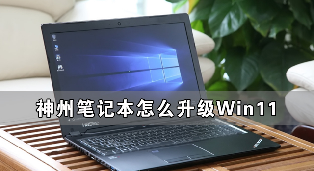 神州筆記本怎么升級(jí)Win11 神舟電腦升級(jí)Win11詳細(xì)教程