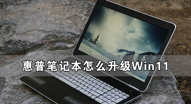 惠普筆記本怎么升級Win11 惠普筆記本升級Win11詳細教程