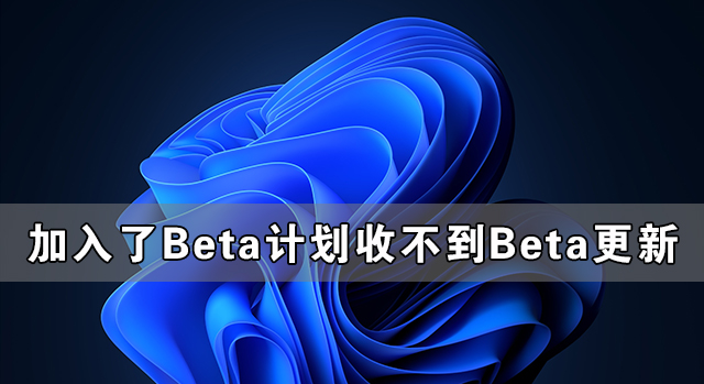 Windows系統(tǒng)加入了Beta計(jì)劃卻收不到Win11 Beta的更新