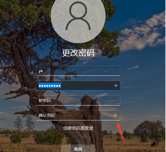 Win11怎么取消開機密碼 Win11取消開機密碼教程