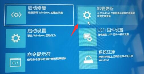 Win11退回Win10按鍵沒反應怎么辦？Win11退回Win10按鍵沒反應解決方法
