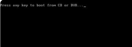 Win11系統(tǒng)能在vm上安裝嗎?Win11系統(tǒng)能否在vm上安裝詳細(xì)介紹