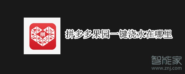 拼多多果園一鍵澆水在哪里