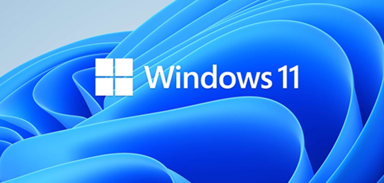 怎么免安裝體驗Win11？免安裝體驗Win11的方法