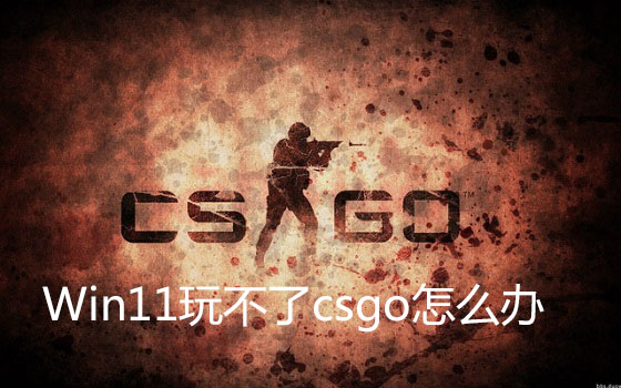 Win11玩不了csgo怎么辦？Win11玩不了csgo的解決方法