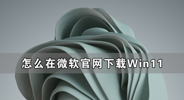 怎么在微軟官網下載Win11 如何從微軟官網下載Win11