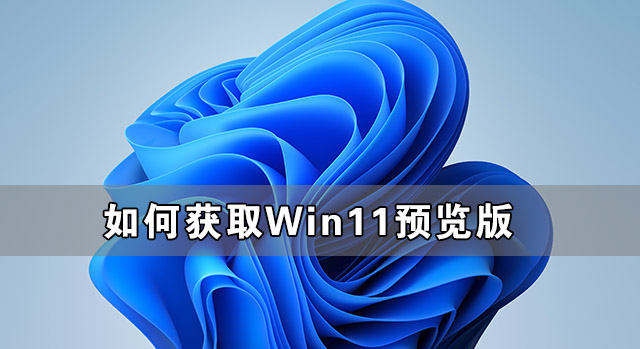 如何獲取Win11預覽版 win11預覽版怎么加入