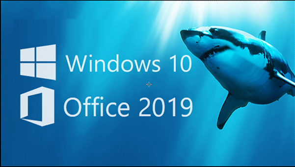 Windows11 Office2019等激活密鑰分享 Windows11 Office2019激活密鑰大全