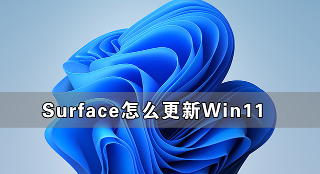 Surface怎么更新Win11 Surface筆記本更新Win11教程