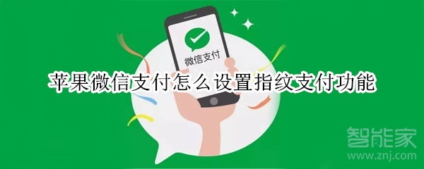 蘋果微信支付怎么設置指紋支付功能
