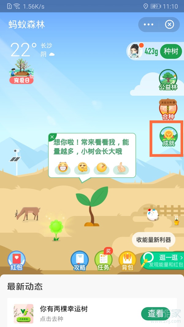 支付寶環保證書在哪里領取