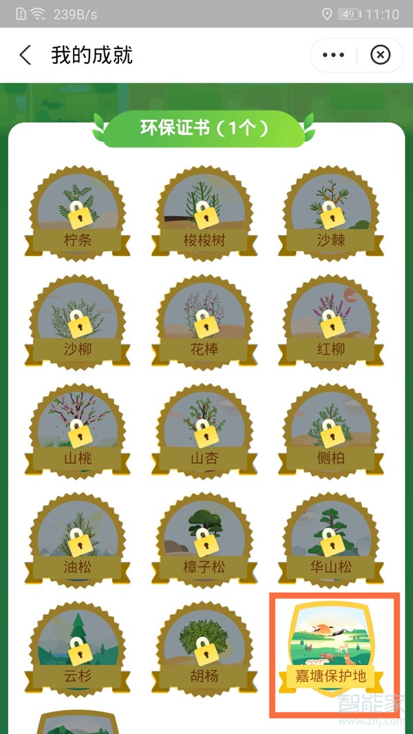 支付寶環保證書在哪里領取