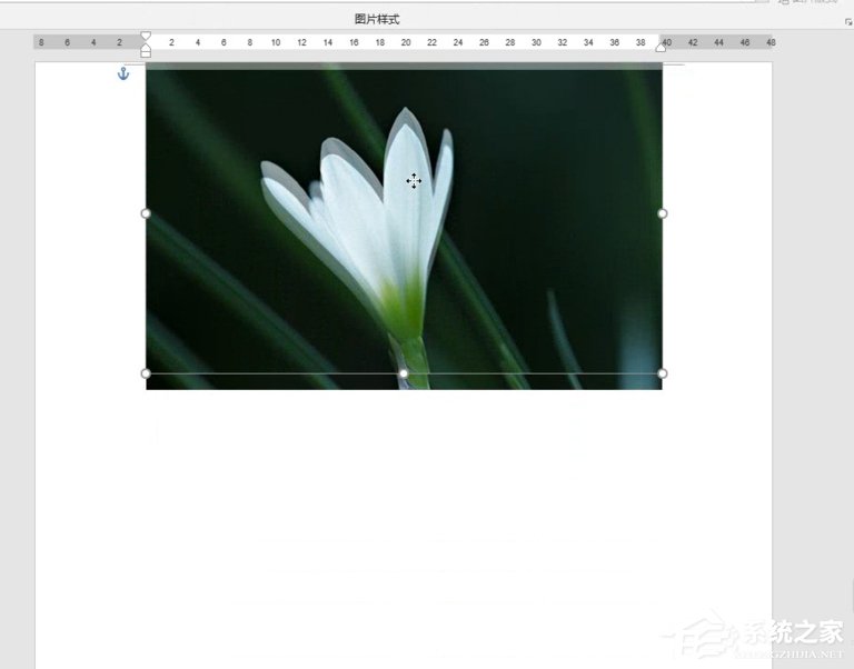 Word如何制作雙重曝光特效？制作雙重曝光特效的方法