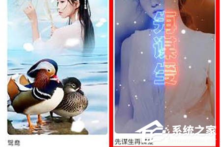 抖音先謀生再謀愛卡點怎么拍攝？借助逗拍輕松搞定