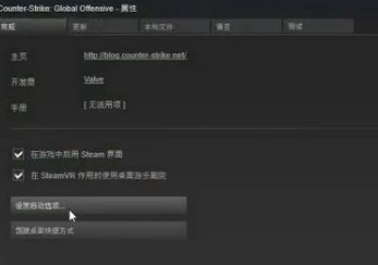Win10玩csgo如何優化參數設置？