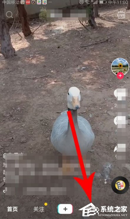 如何創(chuàng)建抖音群聊？創(chuàng)建抖音群聊的方法步驟