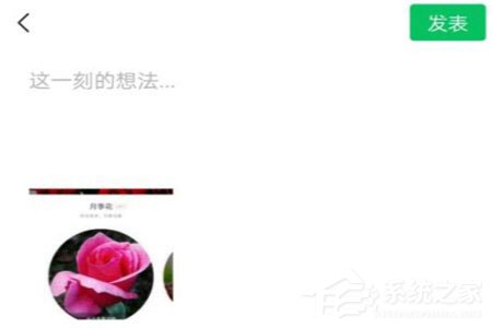 形色識花怎么分享到微信？形色識花怎么分享到微信的方法