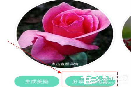 形色識花怎么分享到微信？形色識花怎么分享到微信的方法