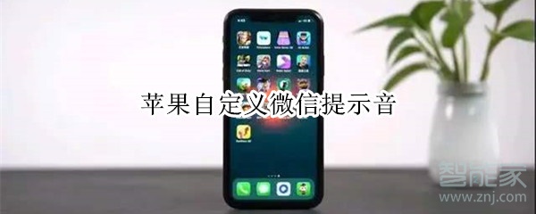 蘋果自定義微信提示音