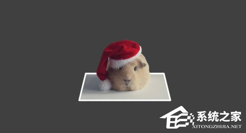 PPT如何制作出3D視覺效果圖片?PPT制作3D視覺效果圖片的方法