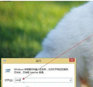 Win8系統如何進入dos界面？