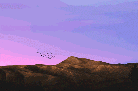 Win10X模擬器怎么下載安裝？Win10X模擬器下載安裝教程