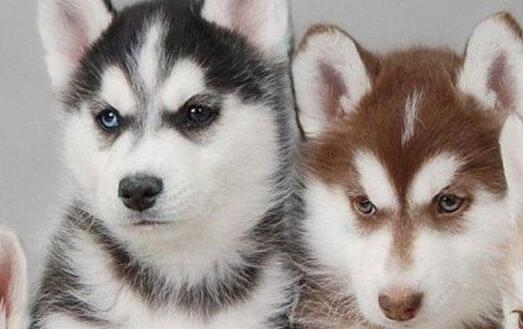 Win10顯示器顏色怎么調節(jié)？Win10顯示器顏色調節(jié)方法分享