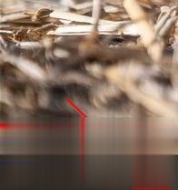 Win10專業版任務視圖快捷鍵是什么？Win10任務視圖打開的方法