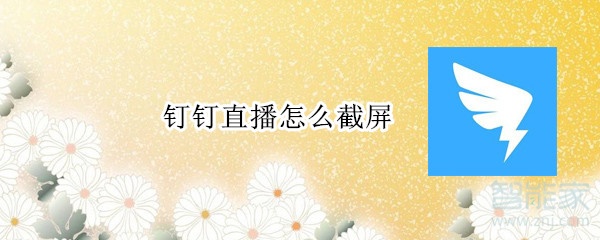 釘釘直播怎么截屏
