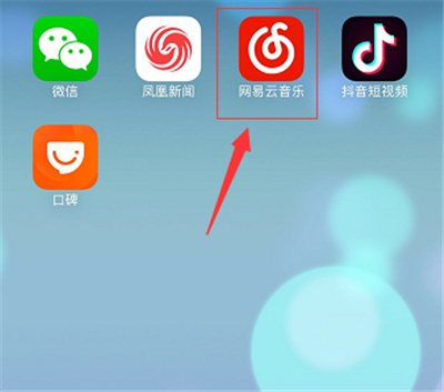 蘋果網易云下載的歌曲在哪里