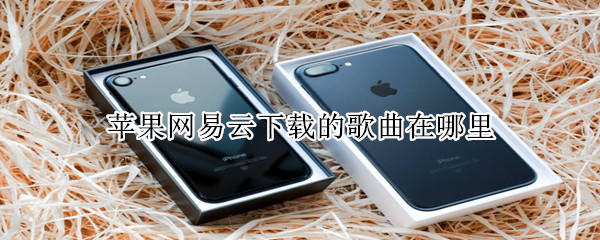 蘋果網易云下載的歌曲在哪里