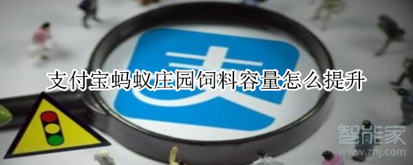 支付寶螞蟻莊園飼料容量怎么提升