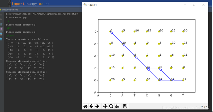 詳解基于python的全局與局部序列比對的實現(DNA)