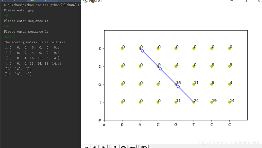 詳解基于python的全局與局部序列比對的實現(DNA)