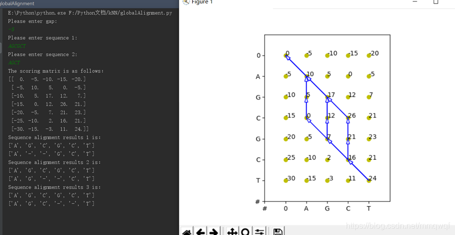 詳解基于python的全局與局部序列比對的實現(DNA)