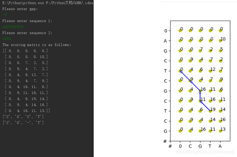 詳解基于python的全局與局部序列比對的實現(DNA)
