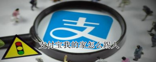 支付寶我的家怎么踢人