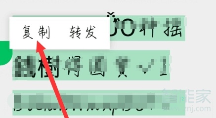 拼多多口令在哪里輸入