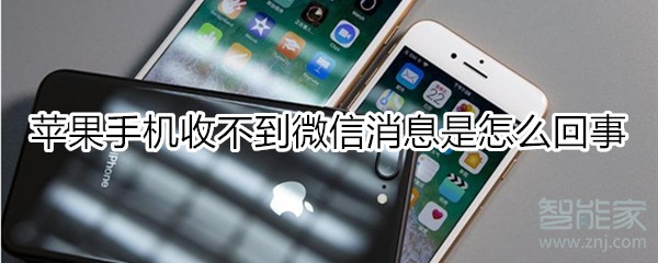 蘋果手機收不到微信消息是怎么回事