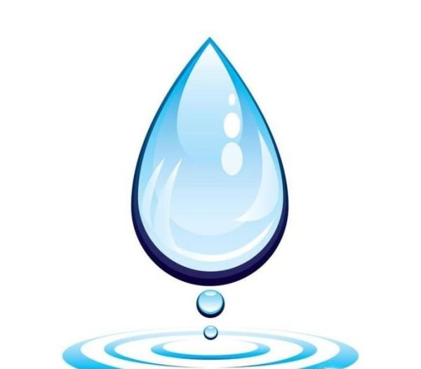 拼多多果園為什么不能偷朋友的水？多多果園種樹