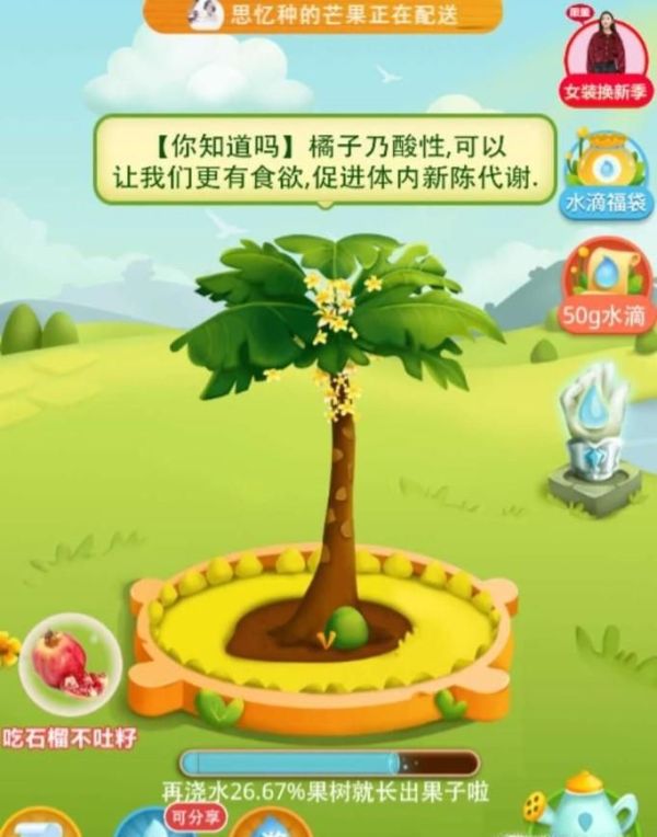 拼多多果園果實(shí)長成熟真能發(fā)貨?多多果園領(lǐng)水滴